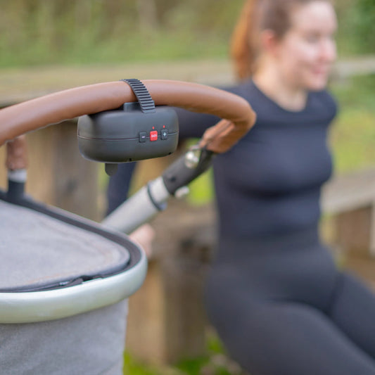 Zazu Robby the Rocker