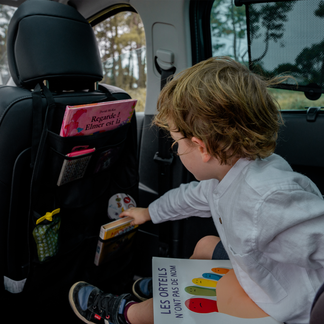 Ezimoov Ezi Travel Plus - Car Seat Organiser and Protector