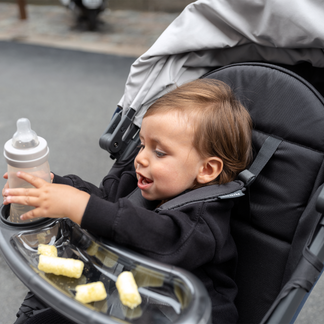 UPPAbaby Ridge Snack Tray