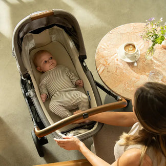 Nuna Lytl Carrycot