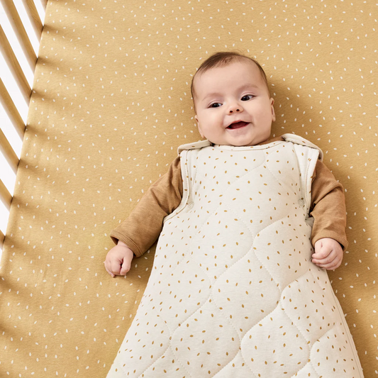 The Little Green Sheep Organic Baby Sleeping Bag 0 to 6 Months