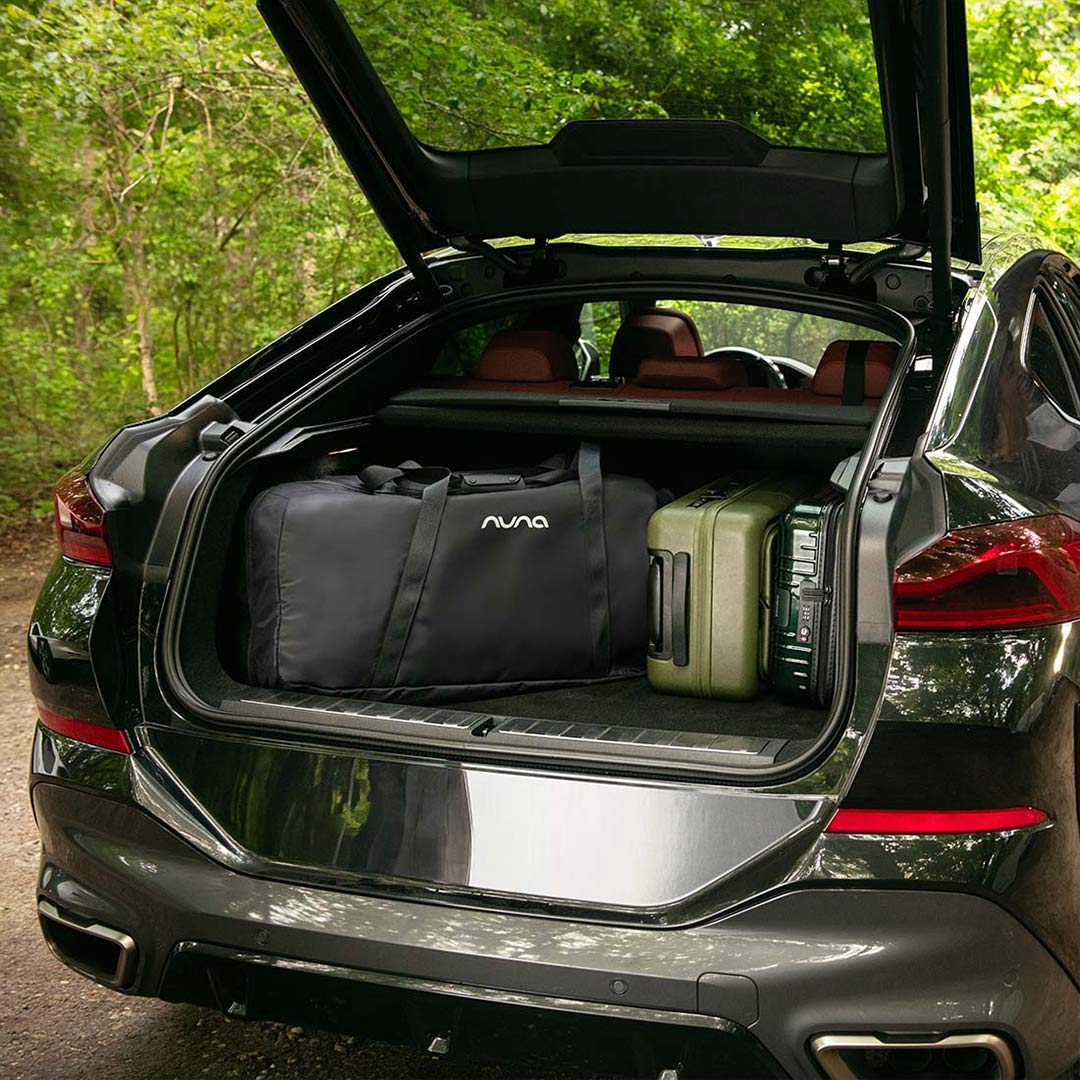 Nuna Paal Travel Cot
