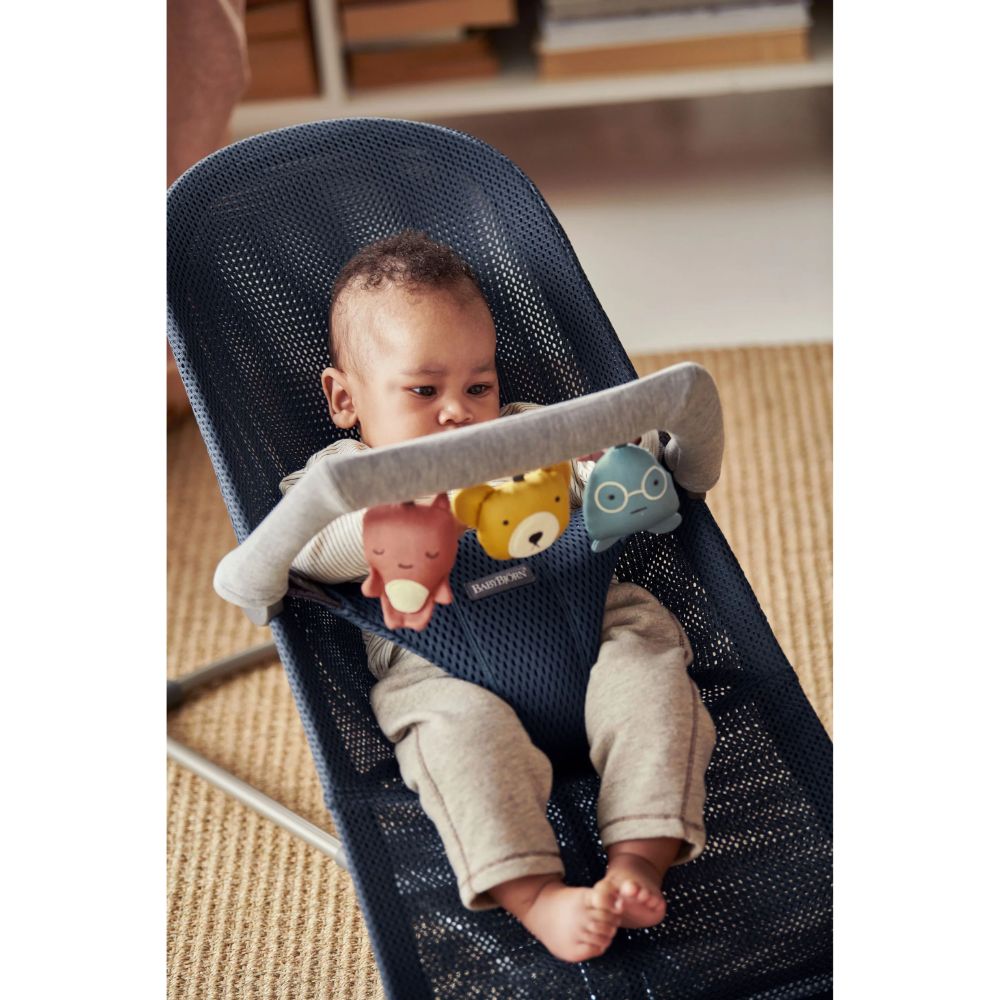 Babybjorn Toy For Bouncer