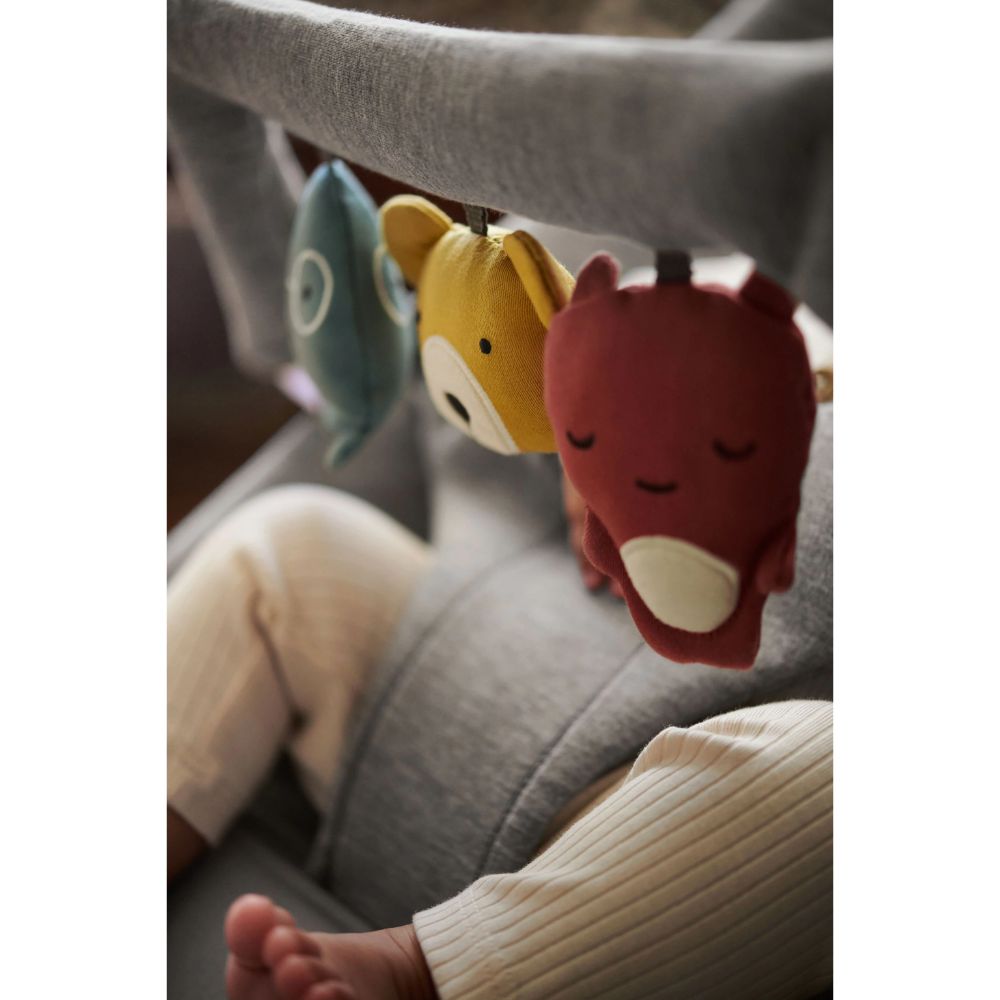 Babybjorn Toy For Bouncer
