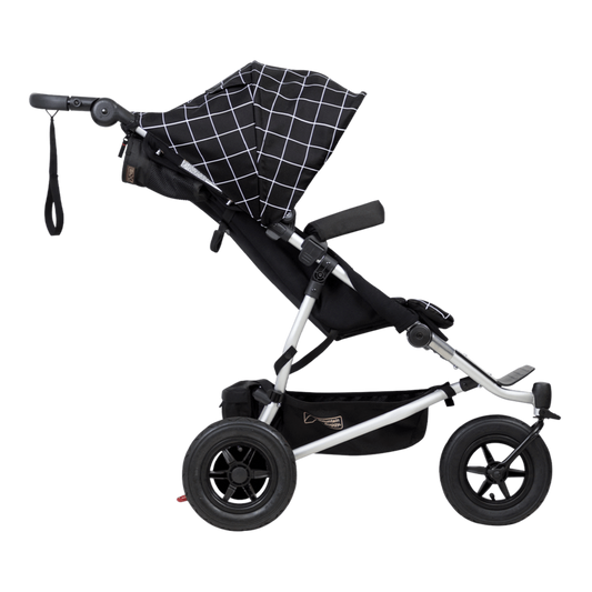 Mountain Buggy Duet