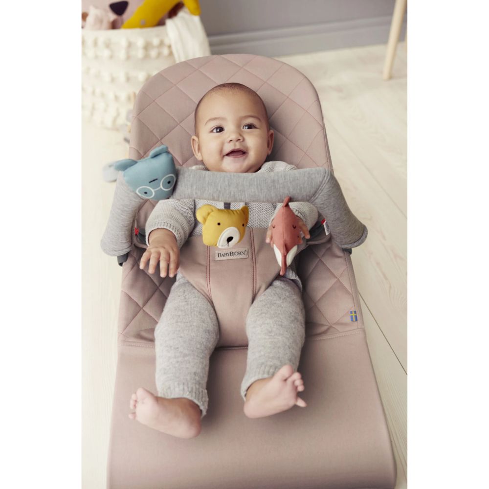 Babybjorn Toy For Bouncer