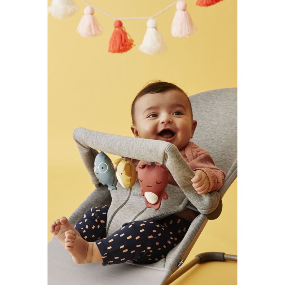 Babybjorn Toy For Bouncer