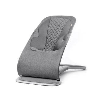 Ergobaby Evolve Baby Bouncer